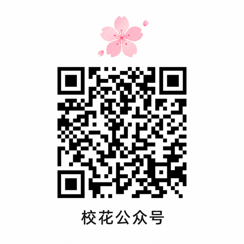 抖音风公众号